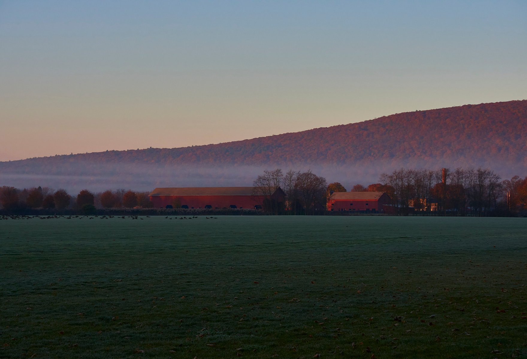 Serene abstract background representing dreams